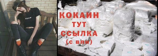 прущие крисы Дмитриев