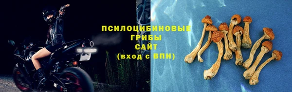 прущие крисы Дмитриев