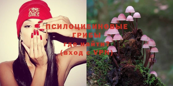 ешки Дмитровск