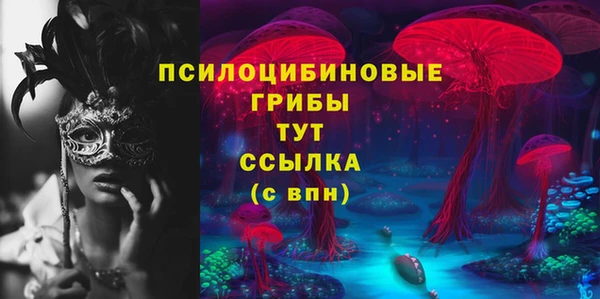 ешки Дмитровск